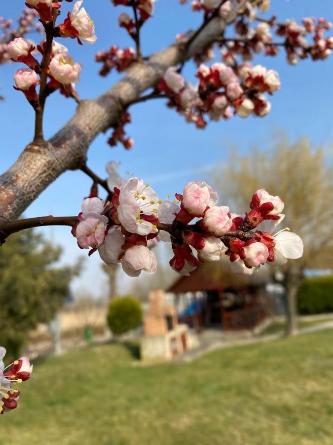 Pensiunea Califar Dunavăţu de Jos 외부 사진